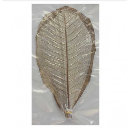 برگ هوبا خشک سایز Dried Hoba Leaves M